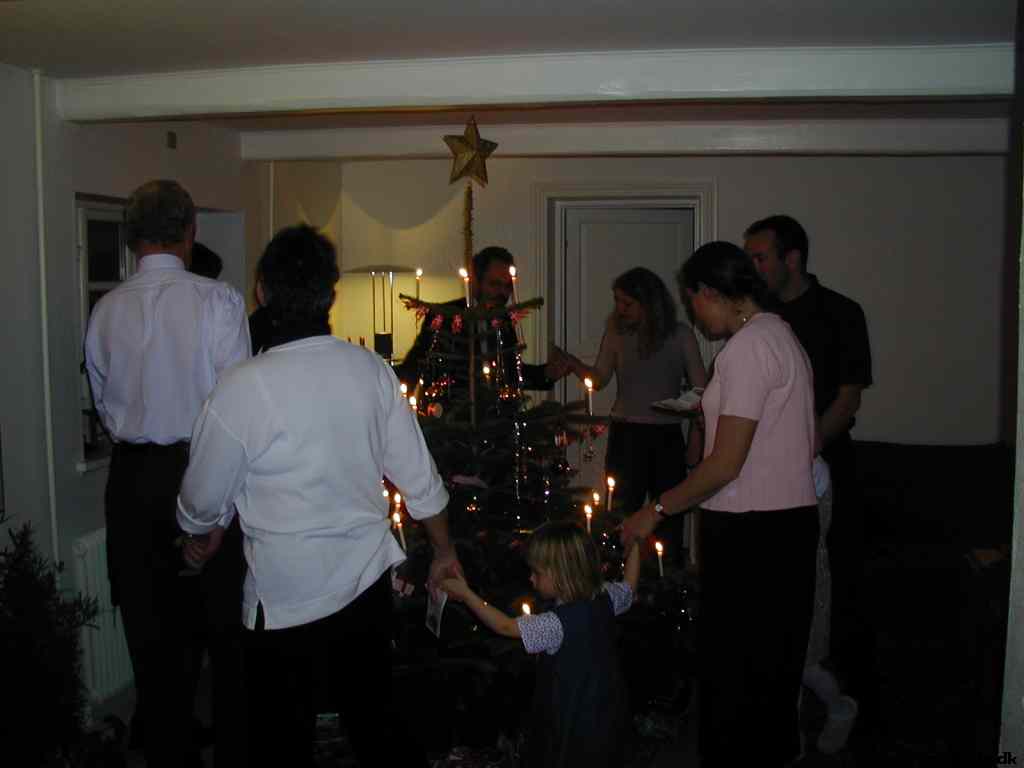 * Image 12