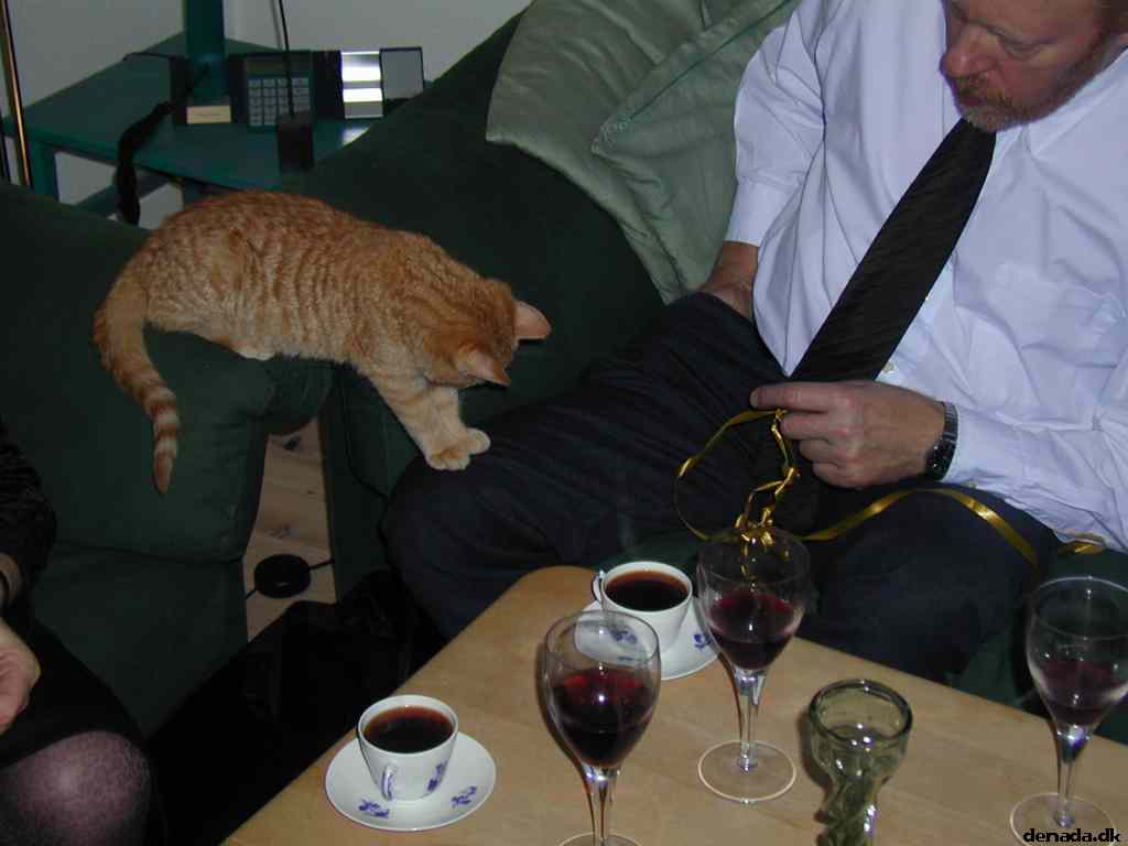 * Image 22