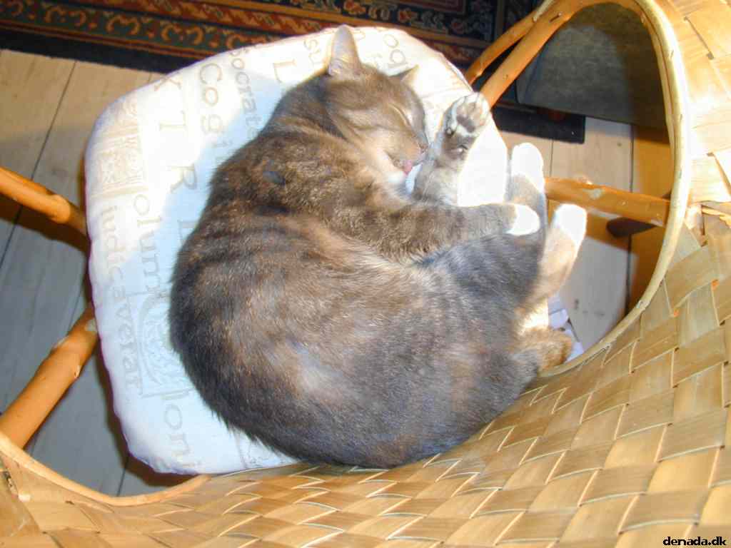 * Image 31