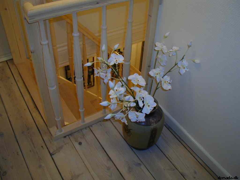 * Image 44