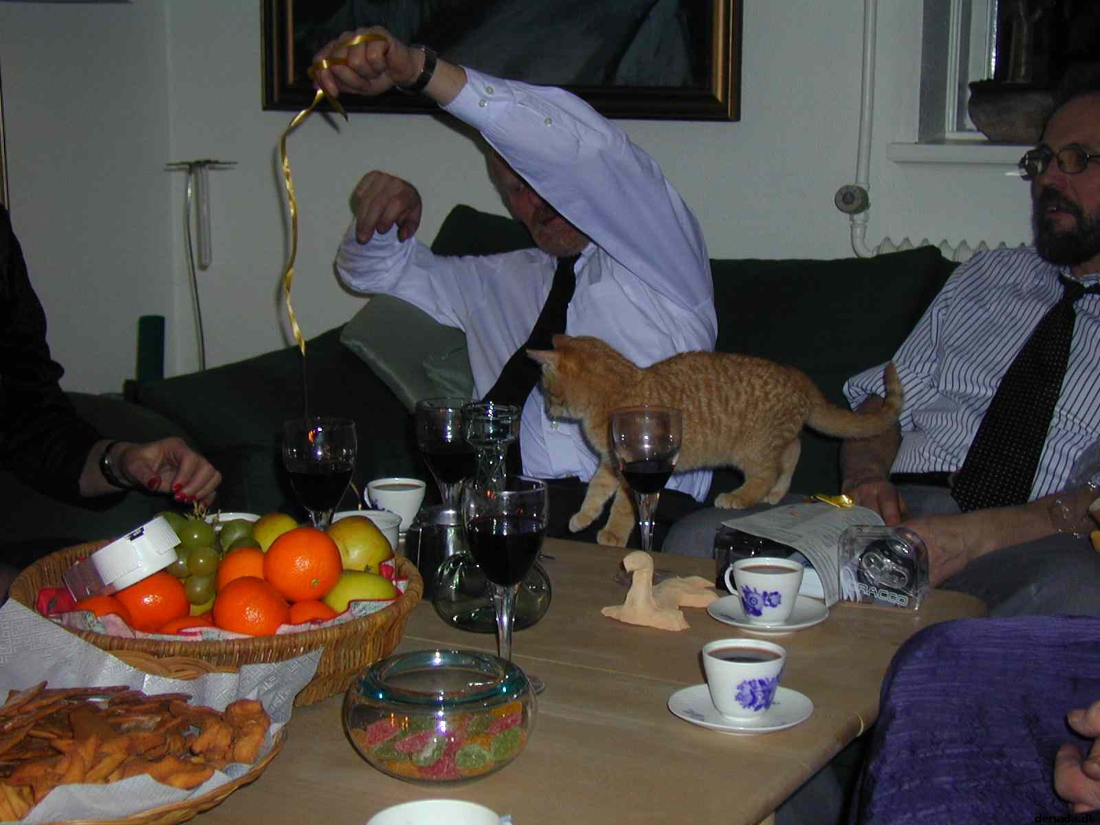 * Image 23