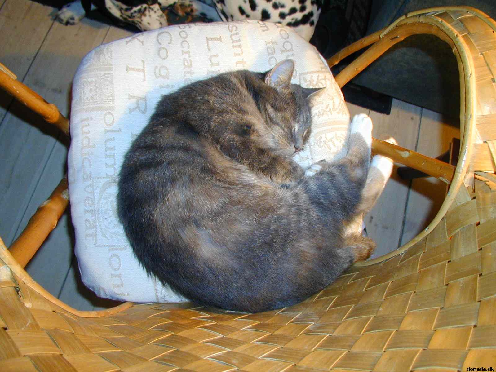 * Image 29