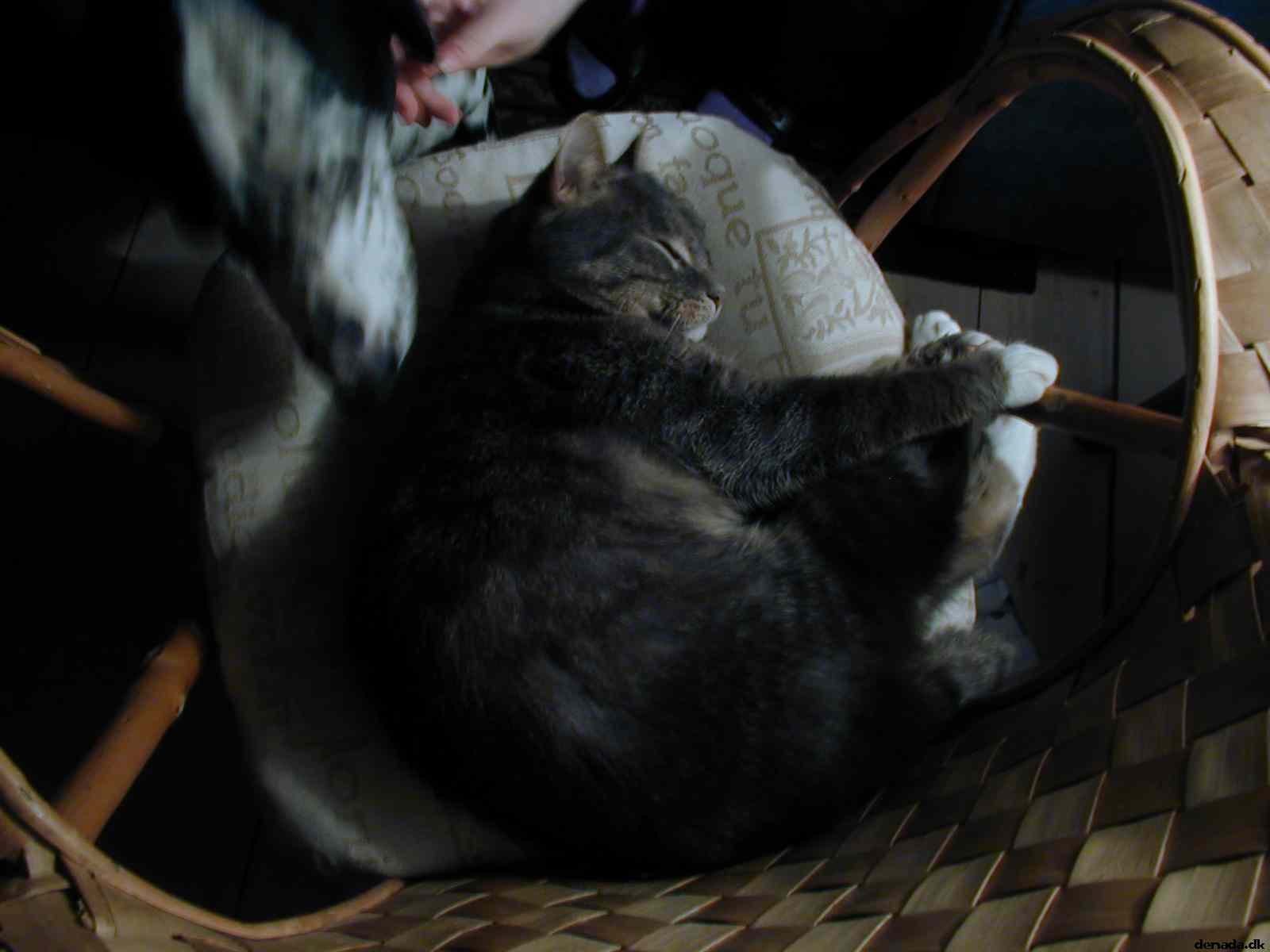 * Image 32