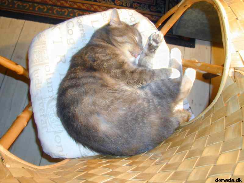 * Image 31