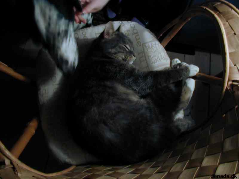 * Image 32