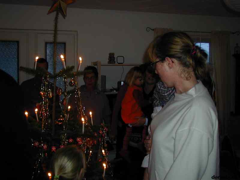 * Image 42