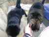 2001_01_01-14_21_49.jpg - 2001:01:01 13:21:49