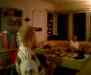 cpia.978382131.jpg - 