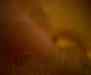 cpia.978384857.jpg - 
