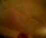 cpia.978384858.jpg - 