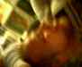 cpia.978384863.jpg - 
