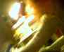 cpia.978384864.jpg - 