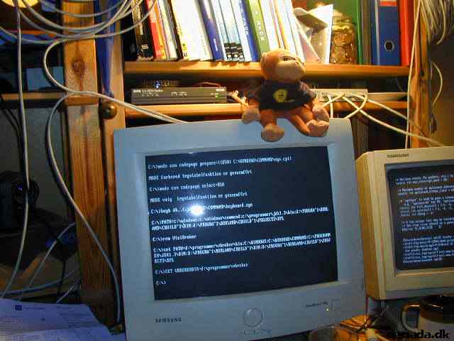 * Image 4