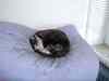2001_05_22-16_42_16.jpg - 2001:05:22 14:42:16