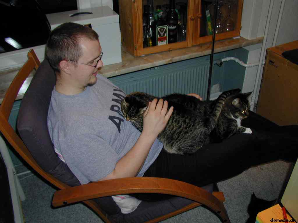 * Image 3