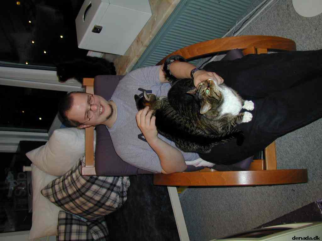 * Image 5