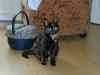 2001_06_21-16_30_18.jpg - 2001:06:21 14:30:18