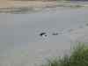 2001_06_24-16_02_29.jpg - 2001:06:24 14:02:29