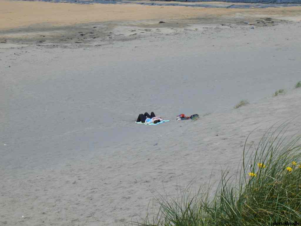 * Image 33