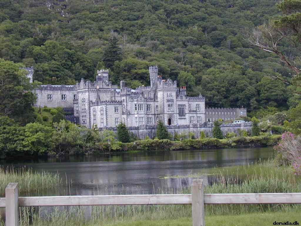 * Image 36