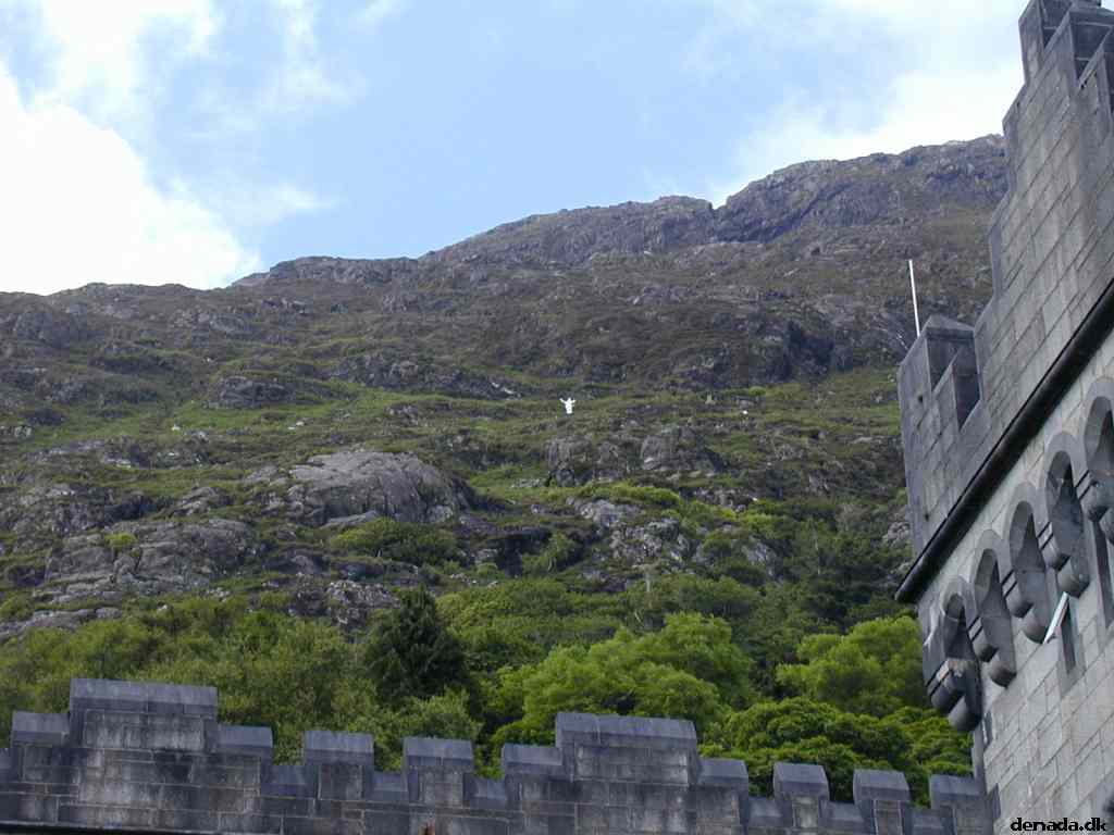 * Image 37