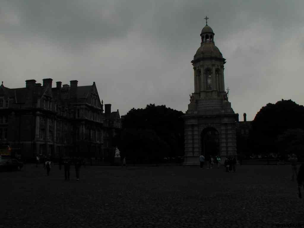 * Image 41