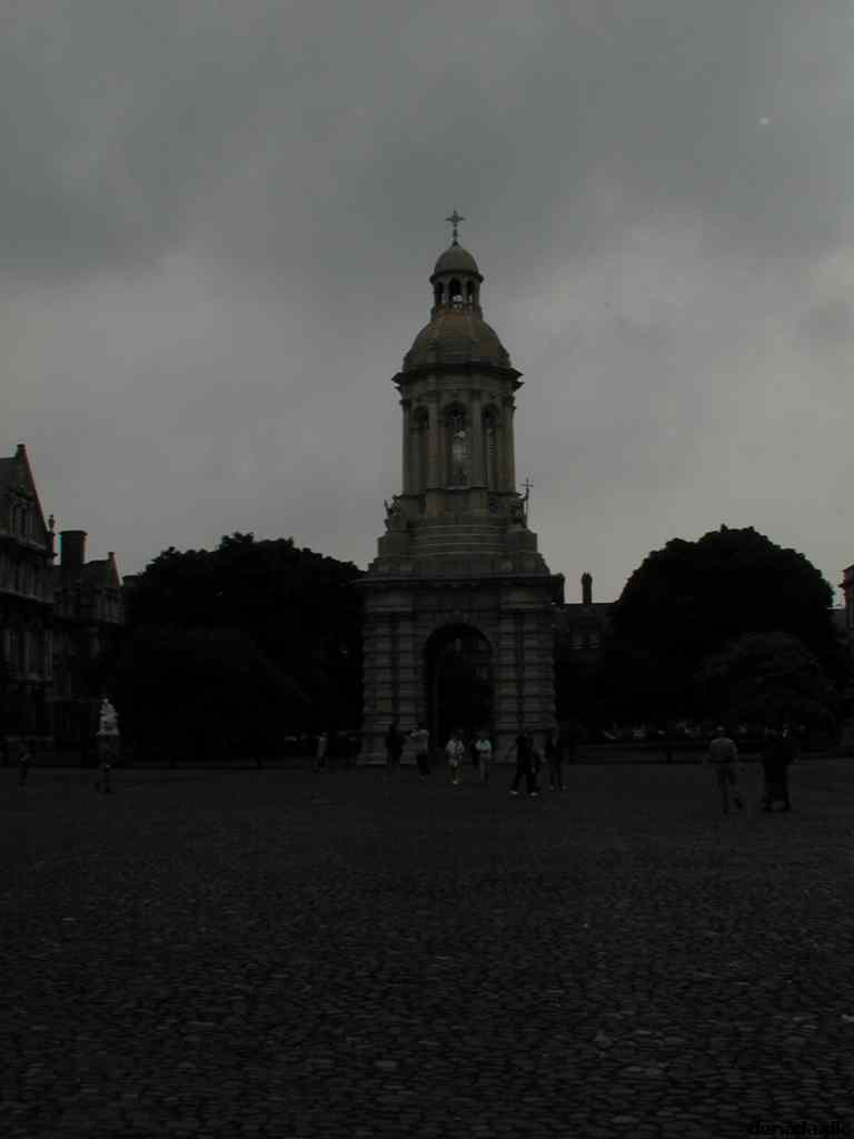 * Image 42