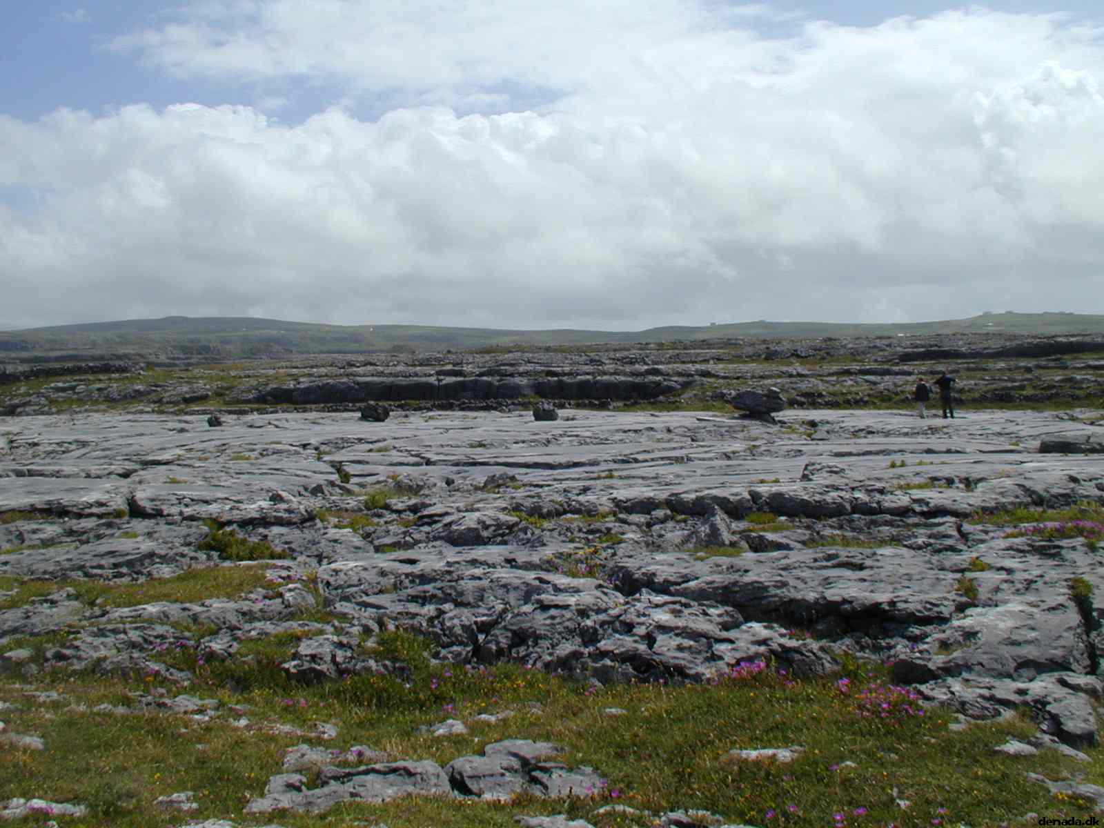 * Image 28