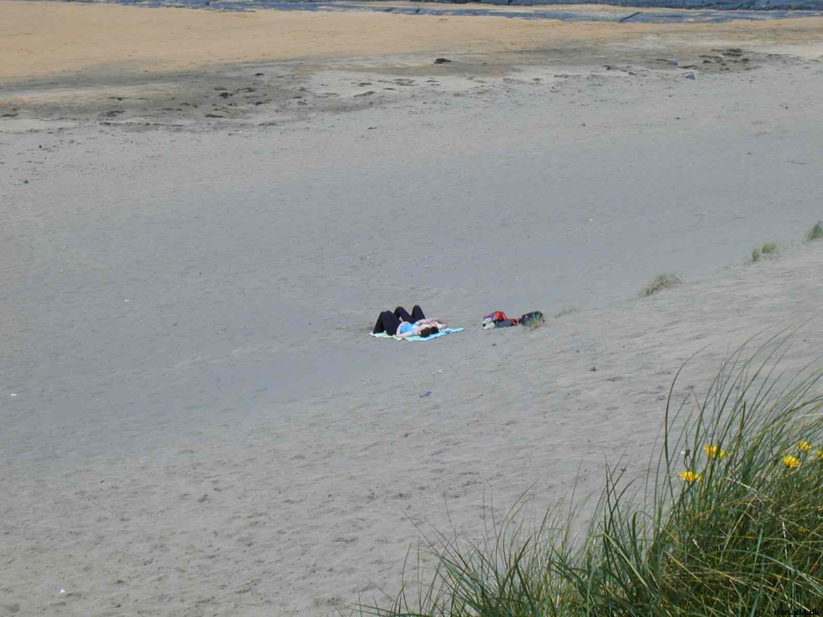 * Image 33