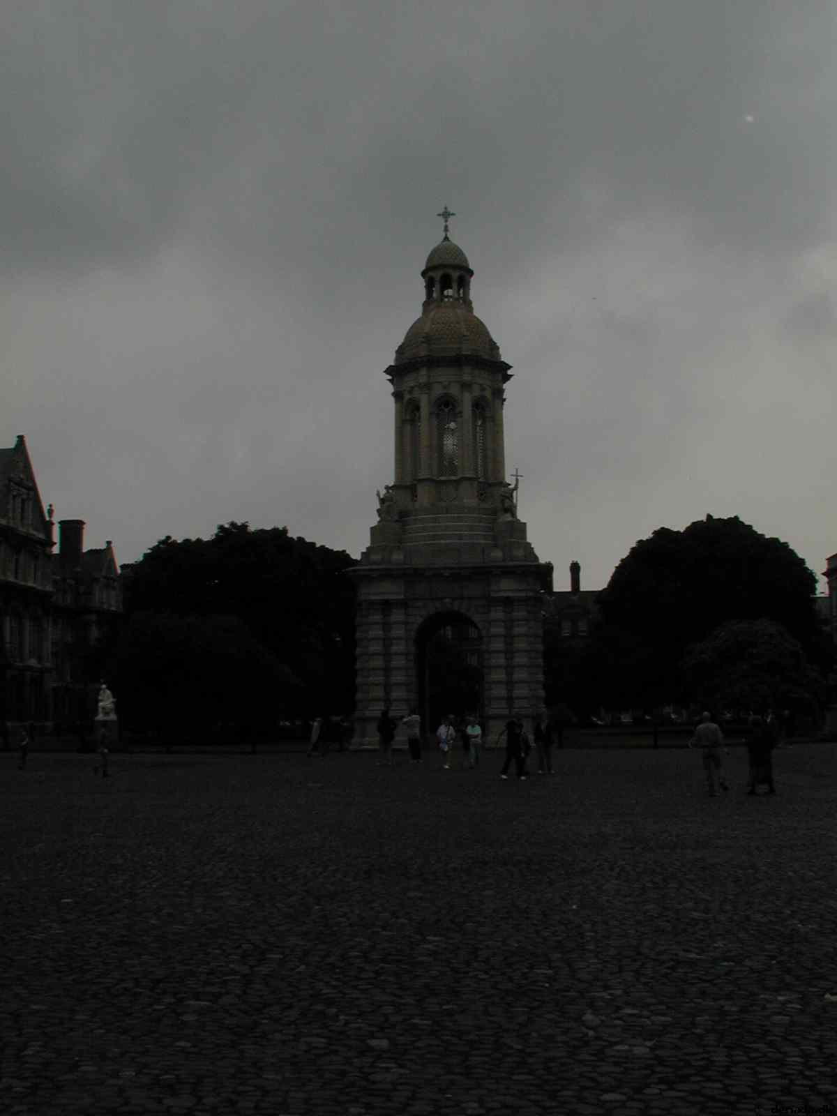 * Image 42