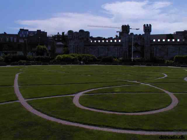 * Image 8