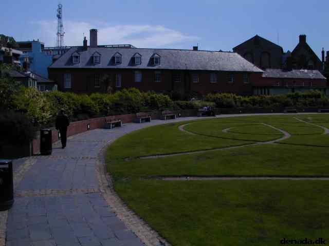 * Image 9
