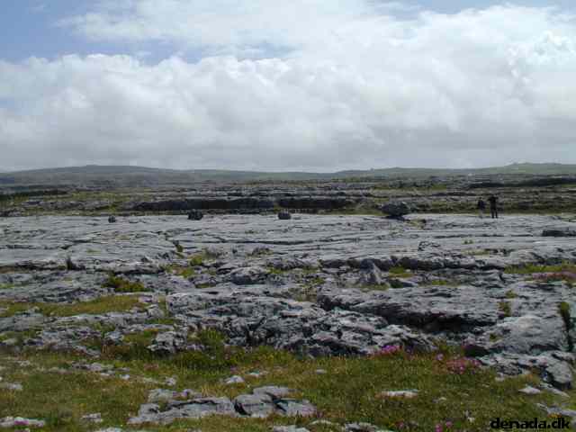 * Image 28