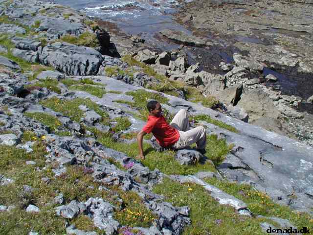 * Image 29