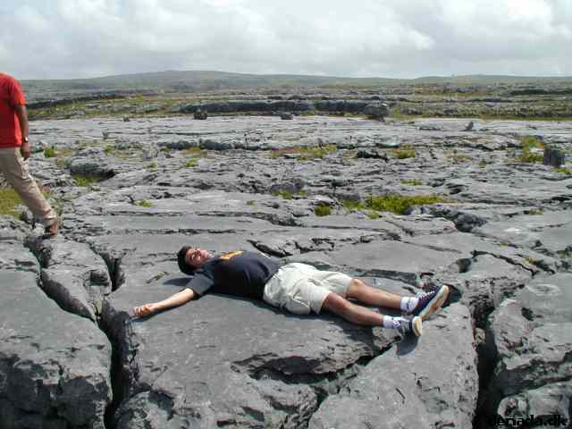 * Image 31