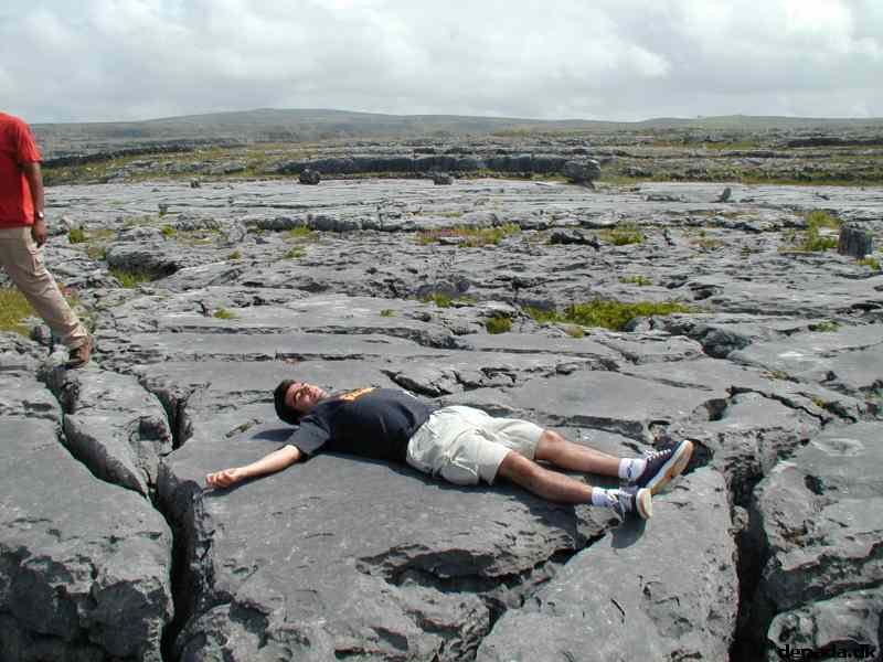 * Image 31