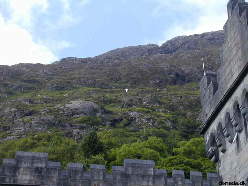 * Image 37