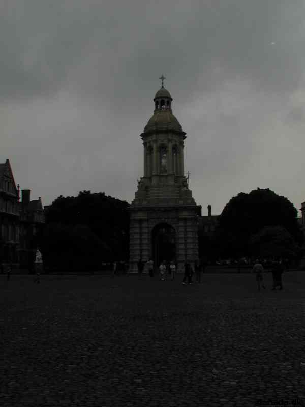 * Image 42
