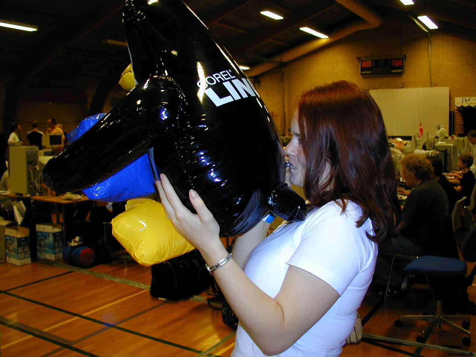 * Image 2