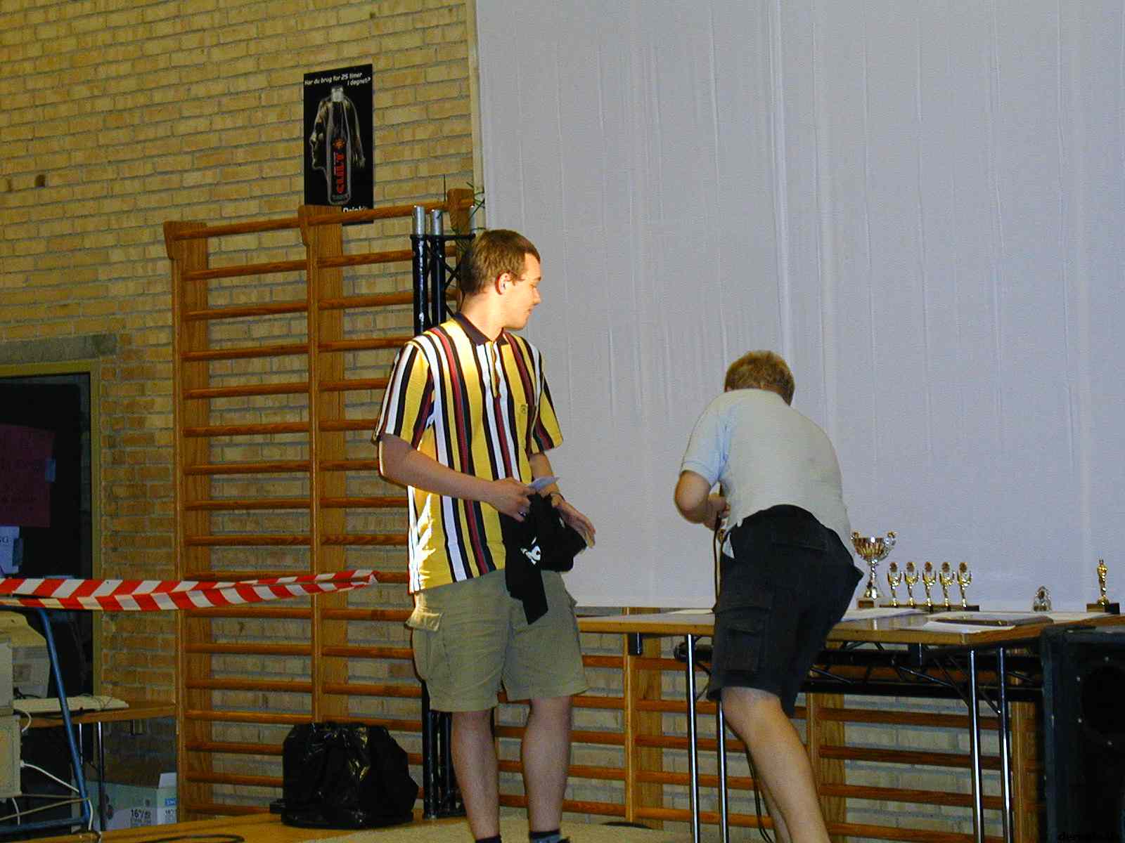 * Image 30