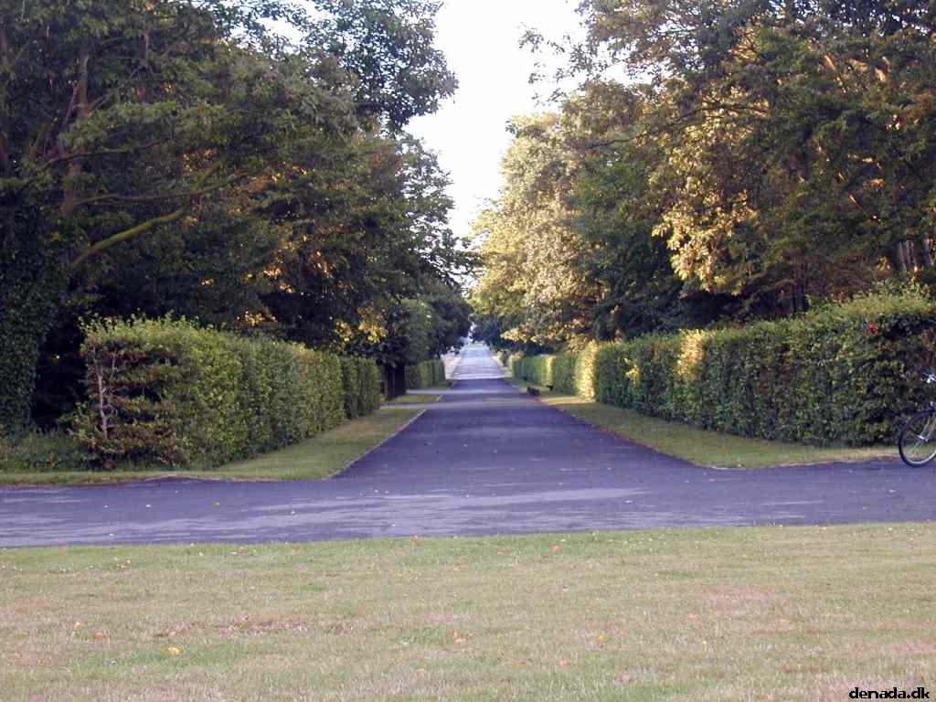 * Image 9