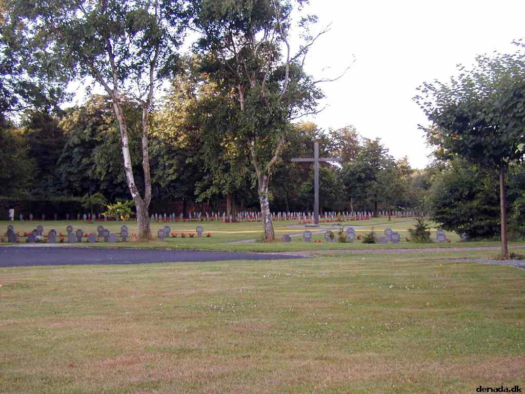 * Image 10