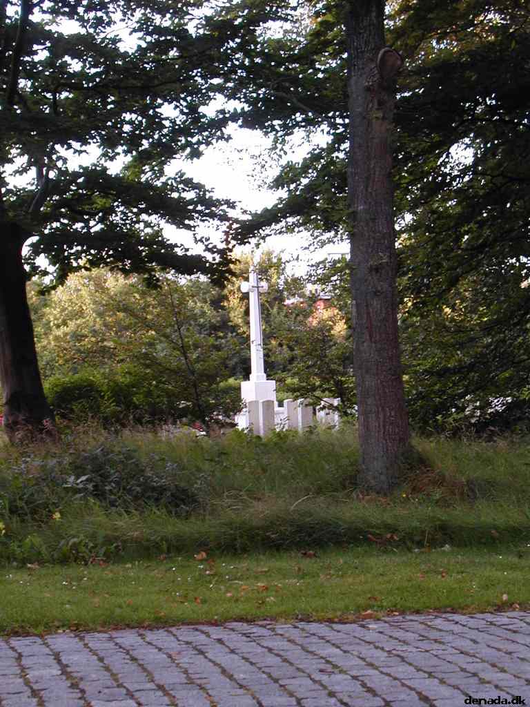 * Image 11