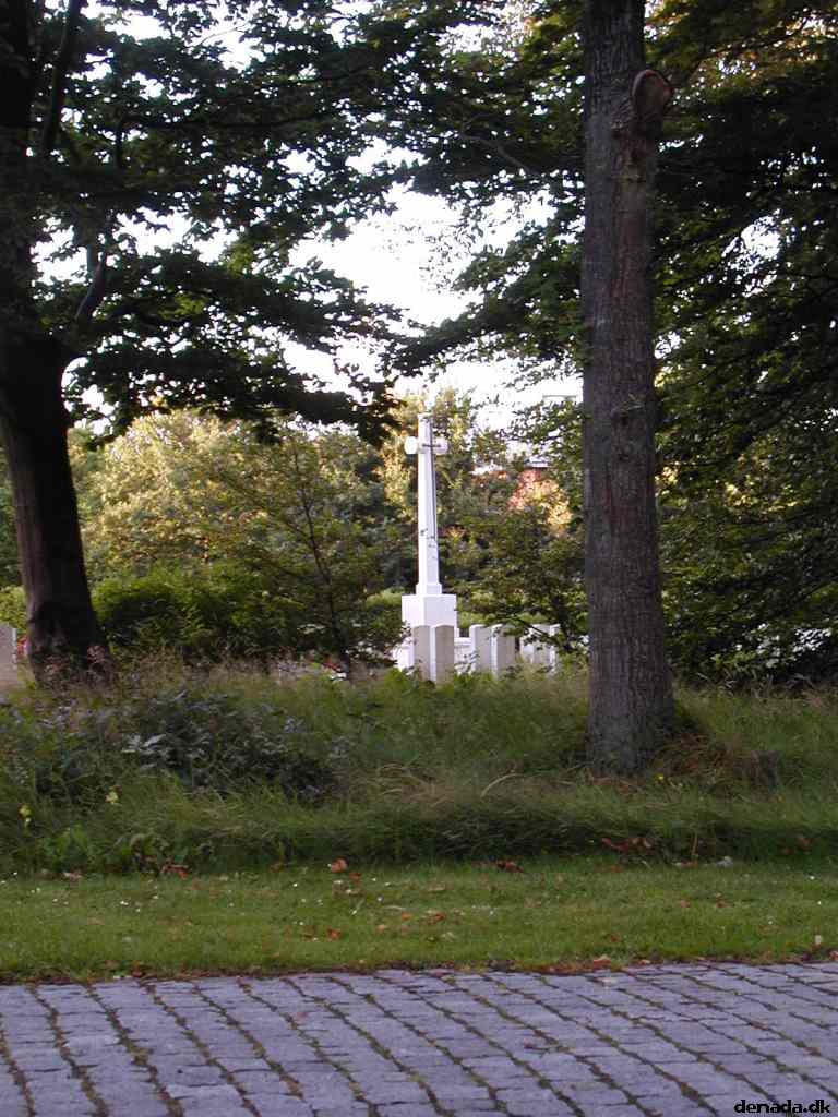 * Image 12