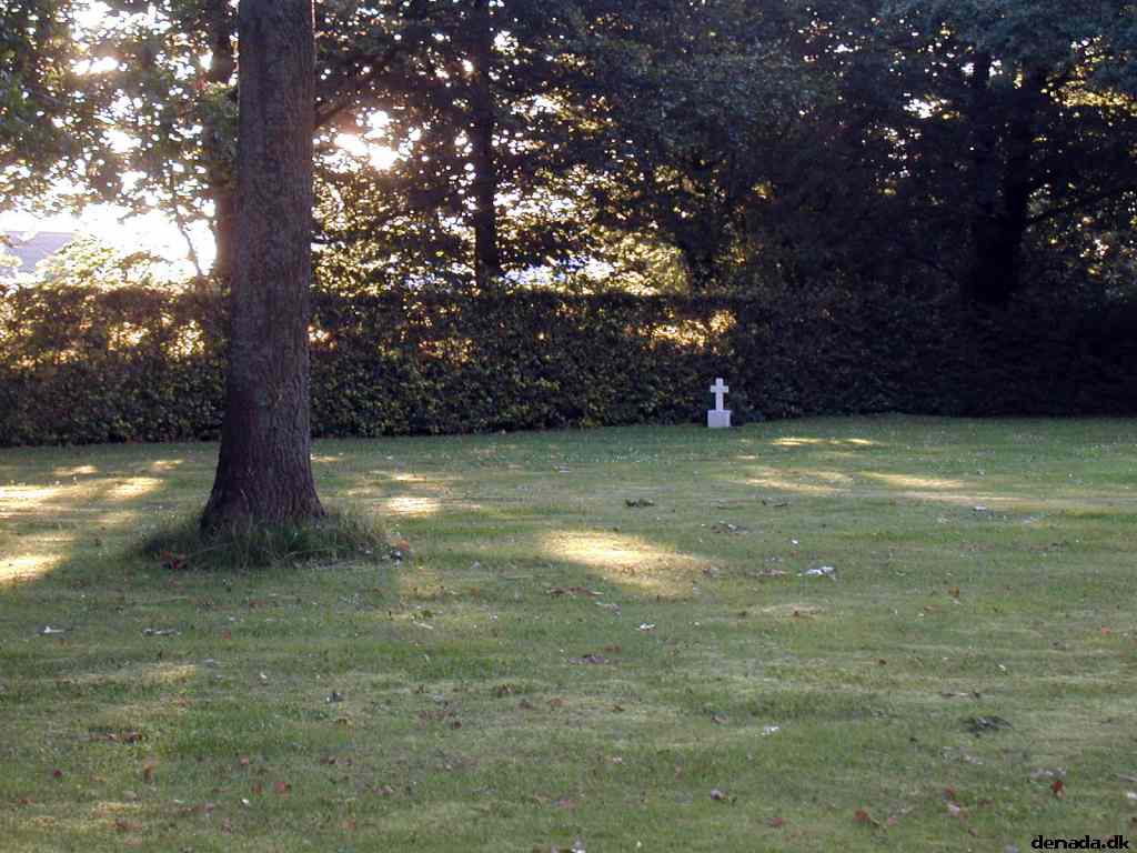 * Image 15