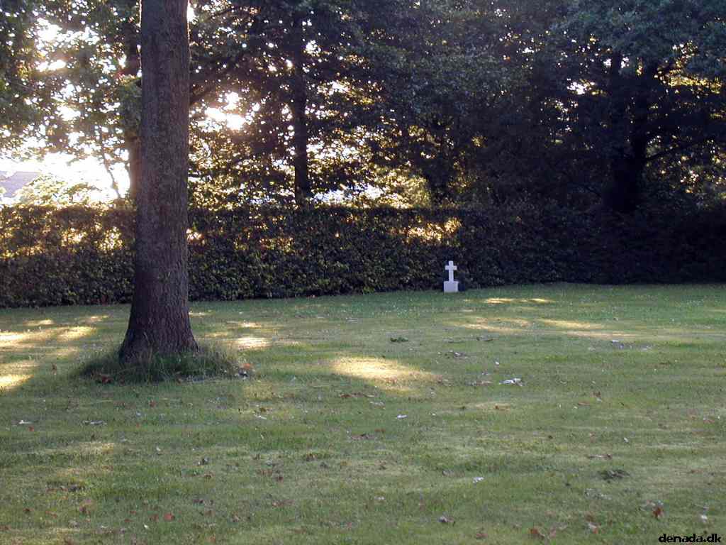 * Image 16