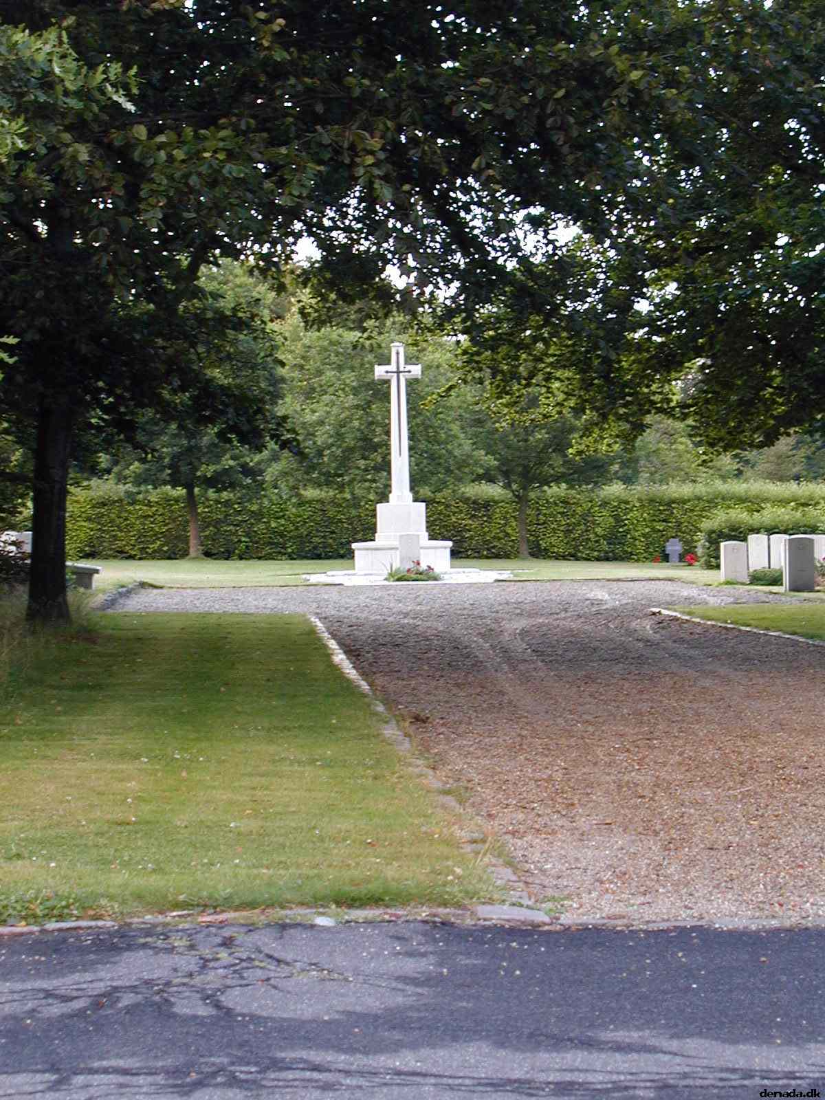* Image 7