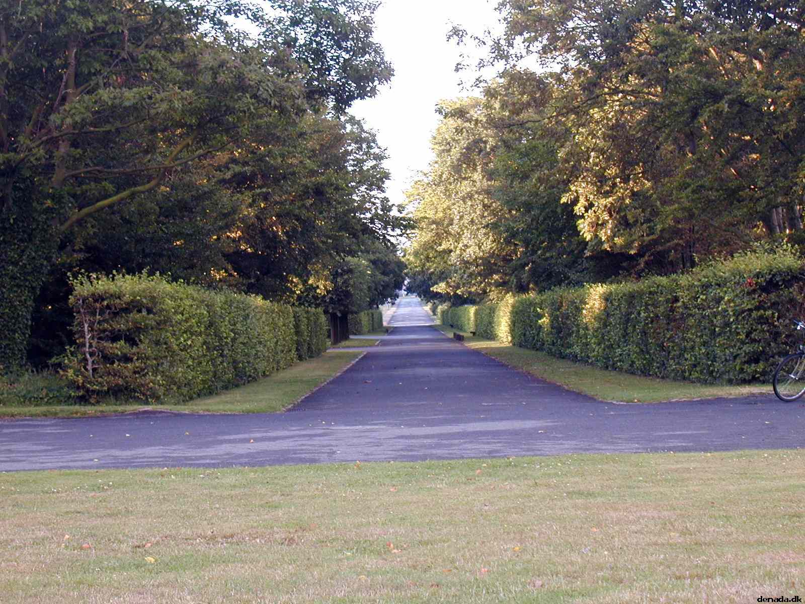 * Image 9