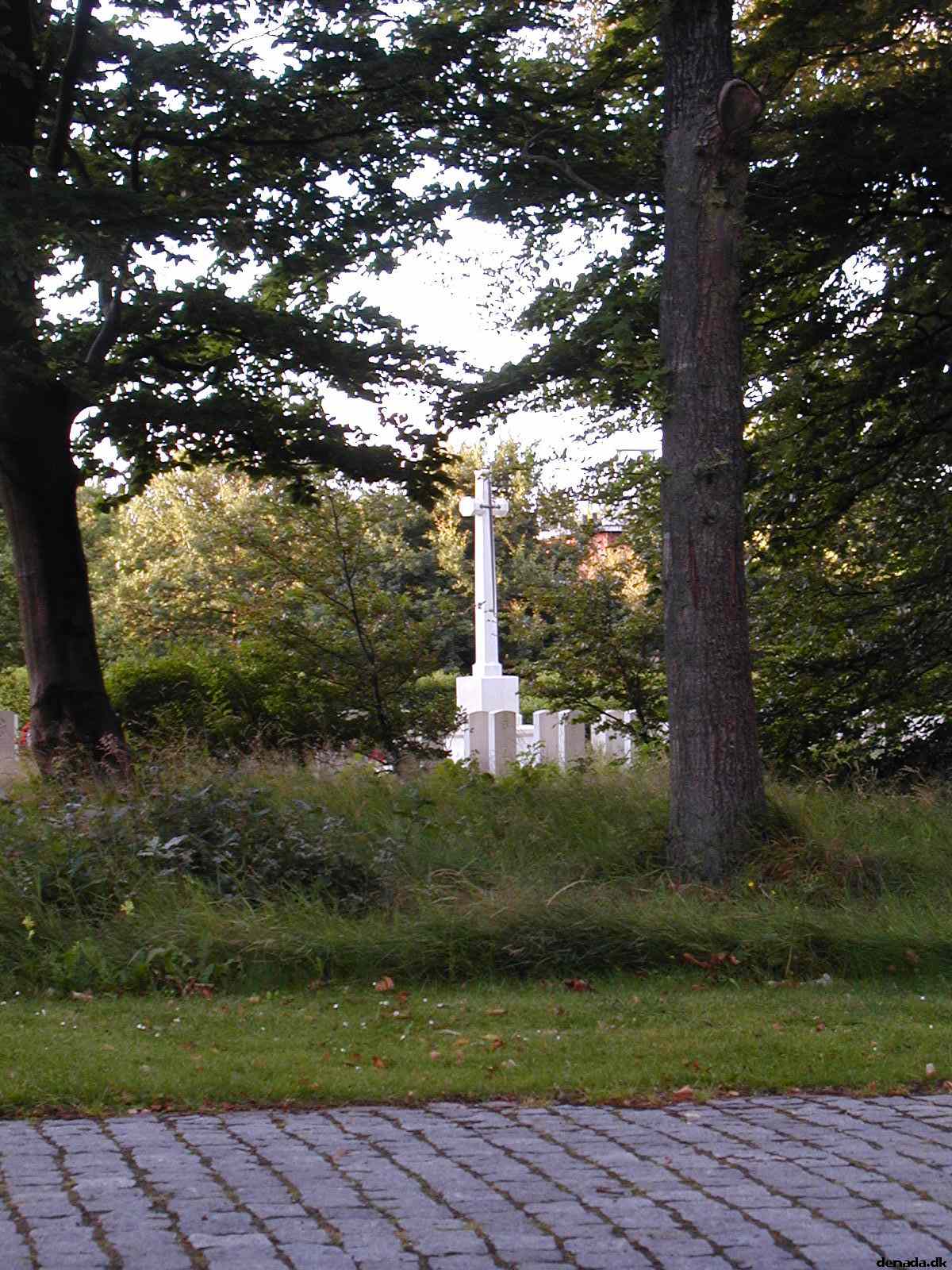 * Image 12