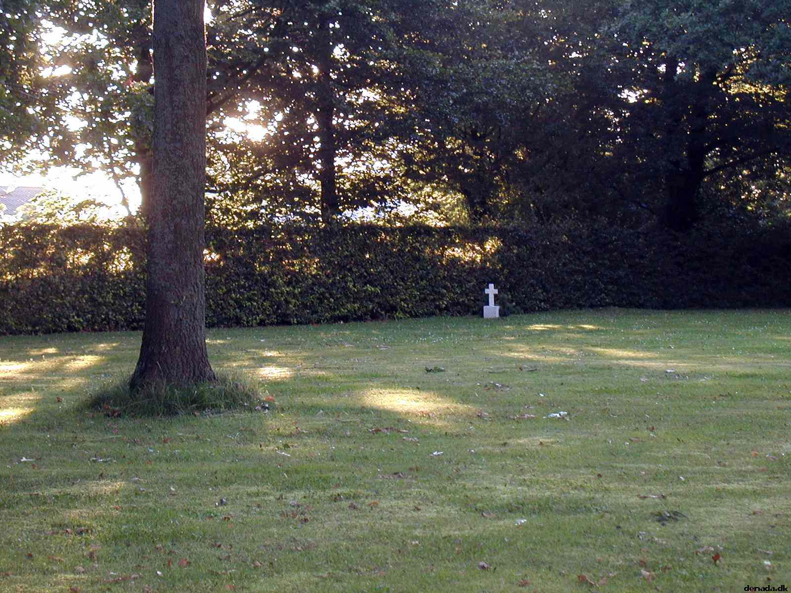 * Image 16